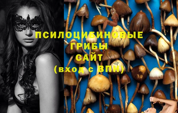 jwh Гусиноозёрск
