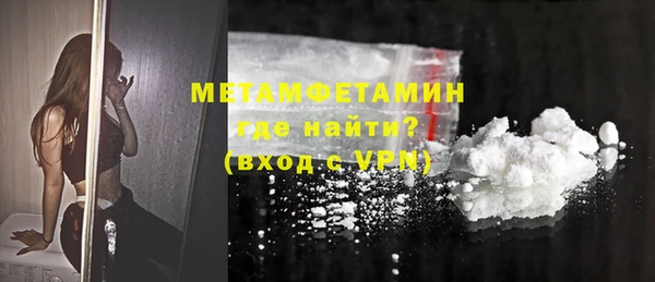 шишки Гусев