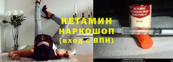 шишки Гусев