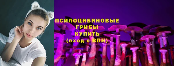 прущие грибы Гусь-Хрустальный