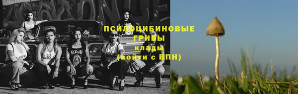 шишки Гусев