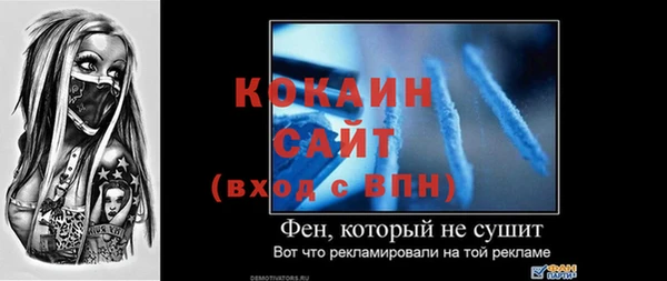 прущие грибы Гусь-Хрустальный
