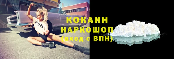 прущие грибы Гусь-Хрустальный