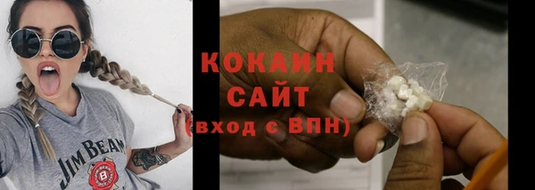 прущие грибы Гусь-Хрустальный