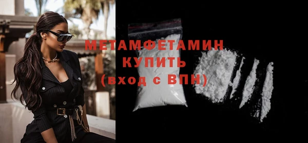 шишки Гусев