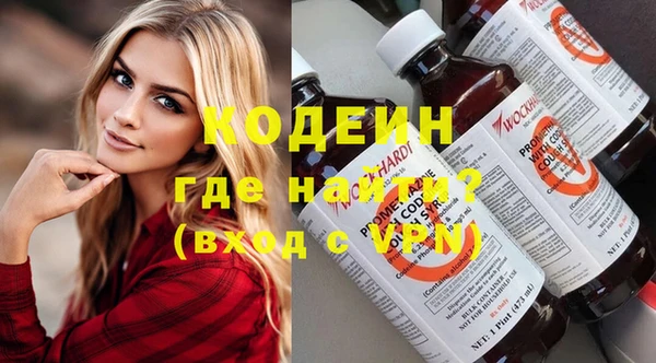 шишки Гусев