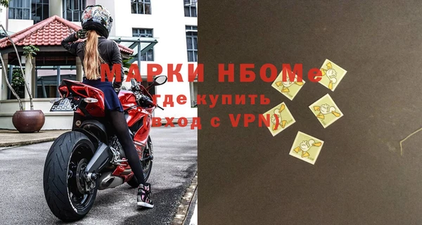 шишки Гусев
