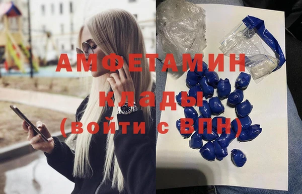 прущие грибы Гусь-Хрустальный