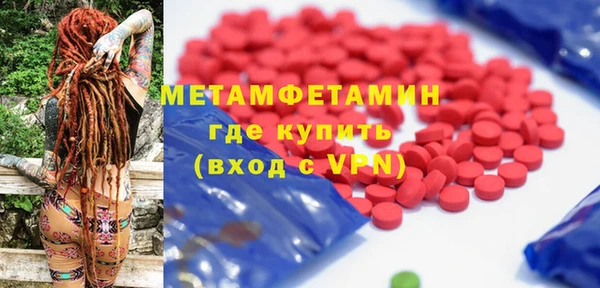 шишки Гусев