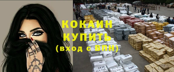 шишки Гусев