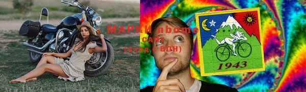 шишки Гусев