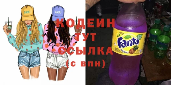 прущие грибы Гусь-Хрустальный