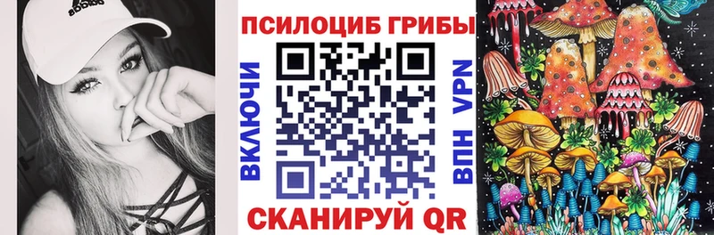 Псилоцибиновые грибы Cubensis  Купить закладки  Тулун 